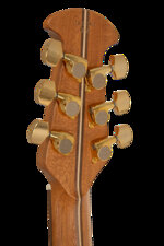 Ovation 1768 Elite Guitar Discussion