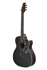 格安saleスタート ボ E-Acoustic Applause Guitar Matter Dark Jump ギター